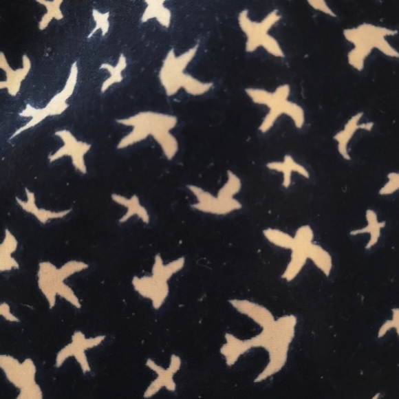 Everly Navy Blue Bird Print top - Picture 5 of 5